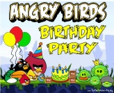 Angry Birds speurtocht